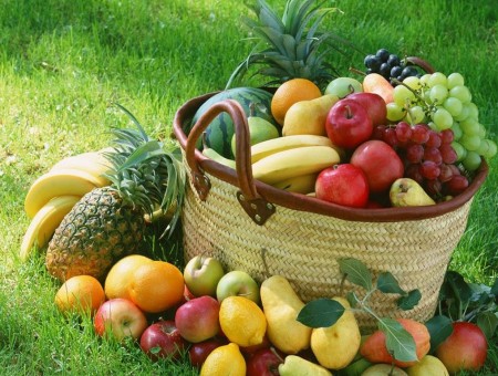 Viva a alimentação Viva!