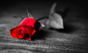 Atenção: Essas são algumas das atitudes que podem te levar à depressão!