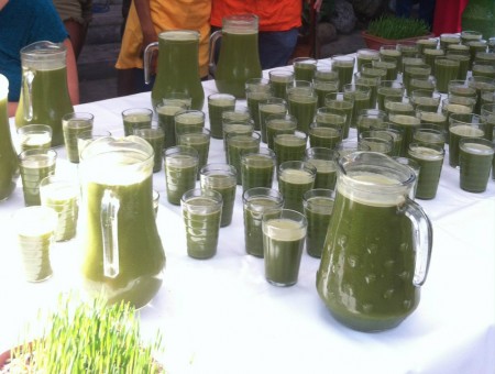 Suco de Clorofila